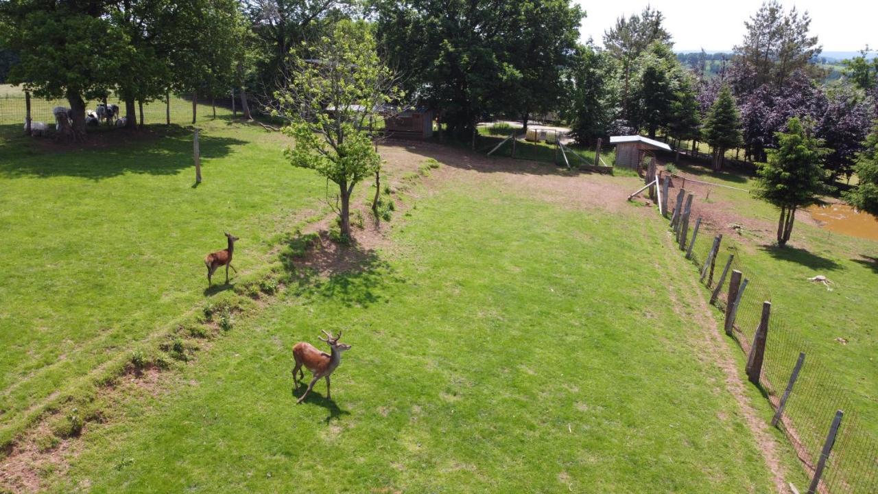 Villa Brochepierre 28 pers- vue exceptionnelle - Malmedy Extérieur photo